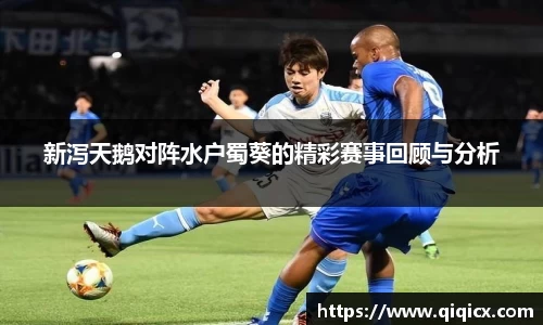 新泻天鹅对阵水户蜀葵的精彩赛事回顾与分析